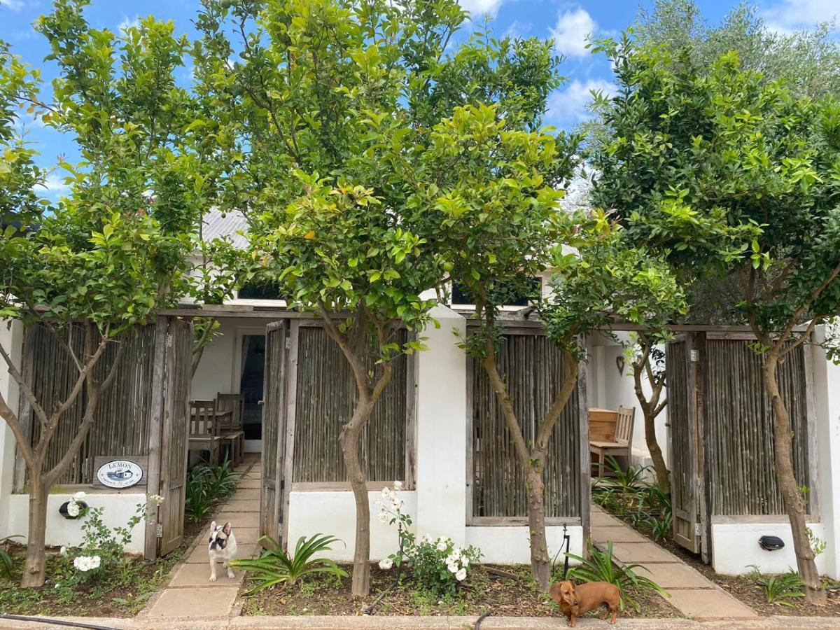 Galileo Farm Villa Elgin  Ngoại thất bức ảnh
