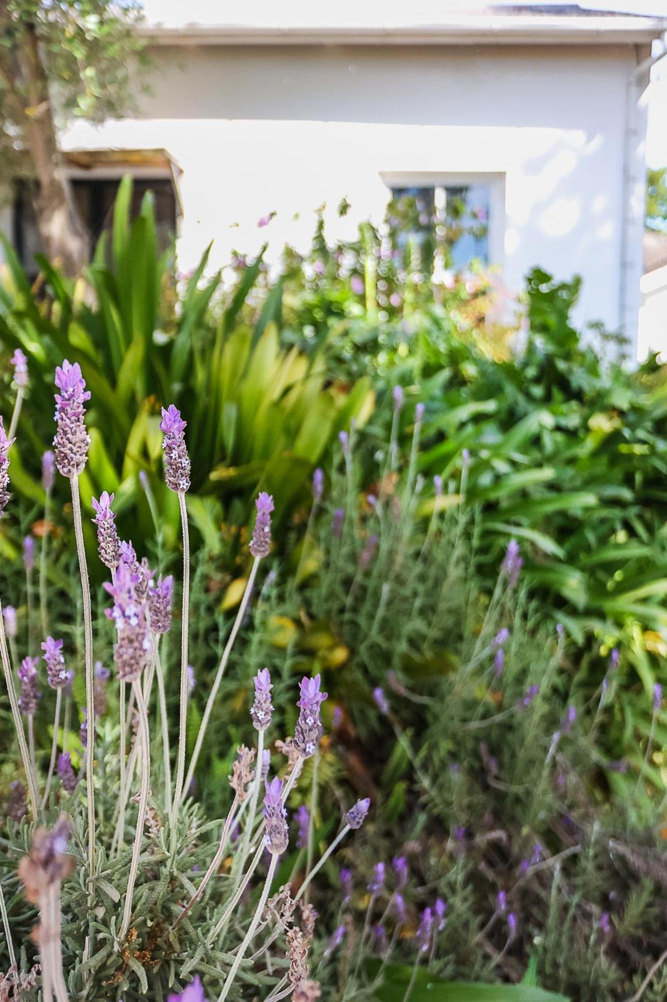 Galileo Farm Villa Elgin  Ngoại thất bức ảnh