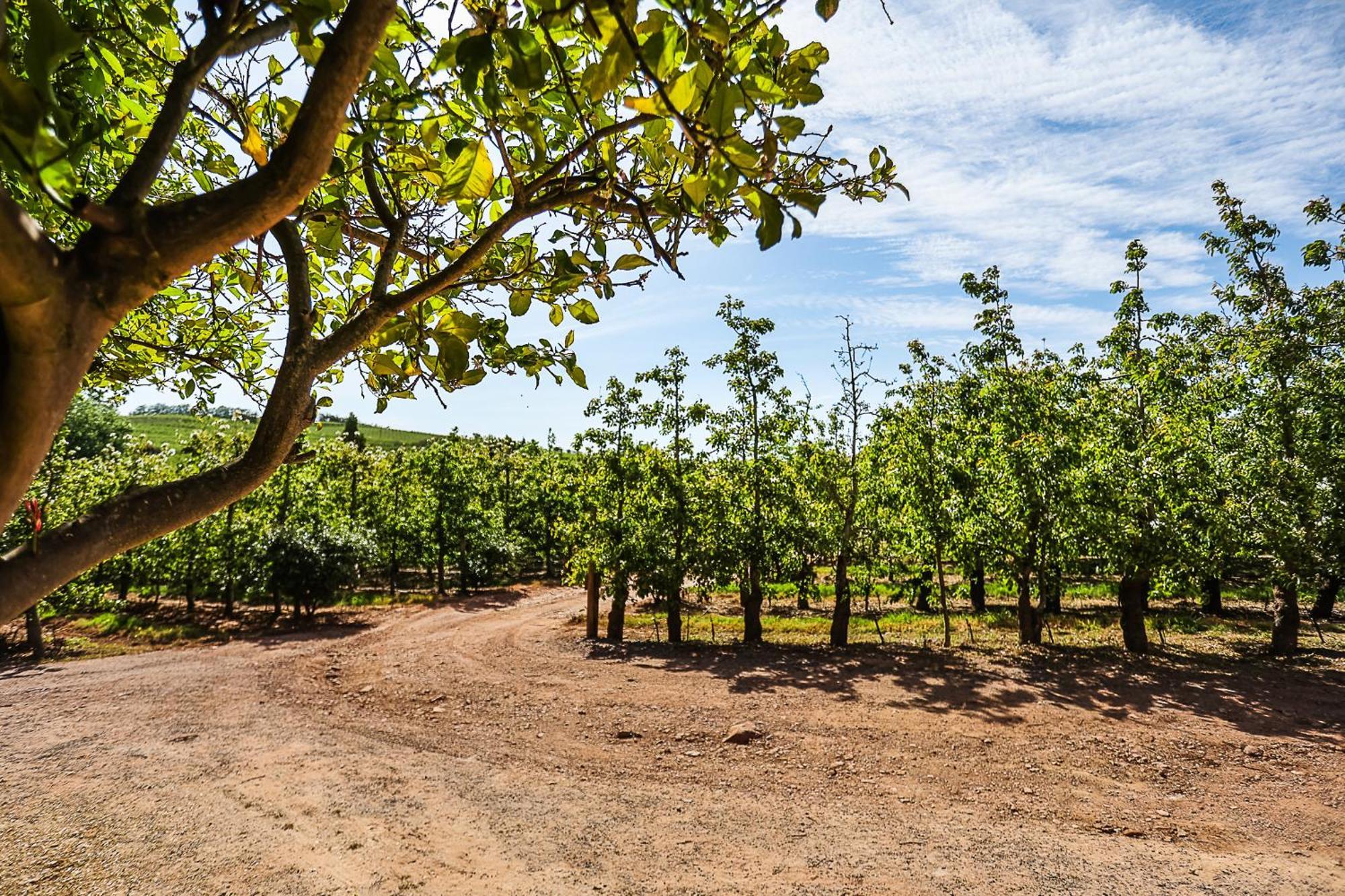 Galileo Farm Villa Elgin  Ngoại thất bức ảnh