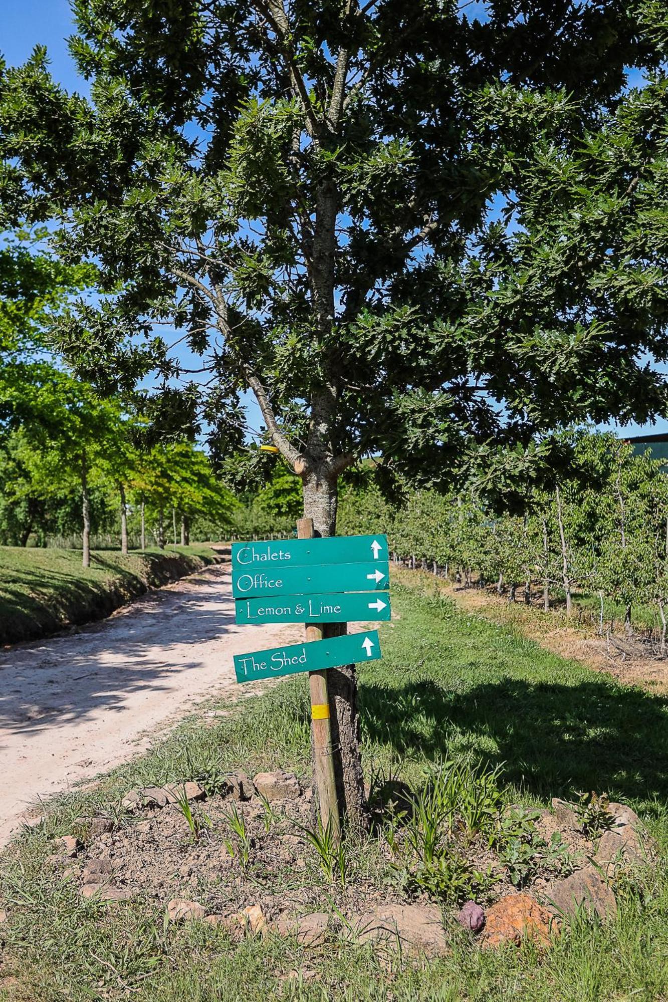 Galileo Farm Villa Elgin  Ngoại thất bức ảnh